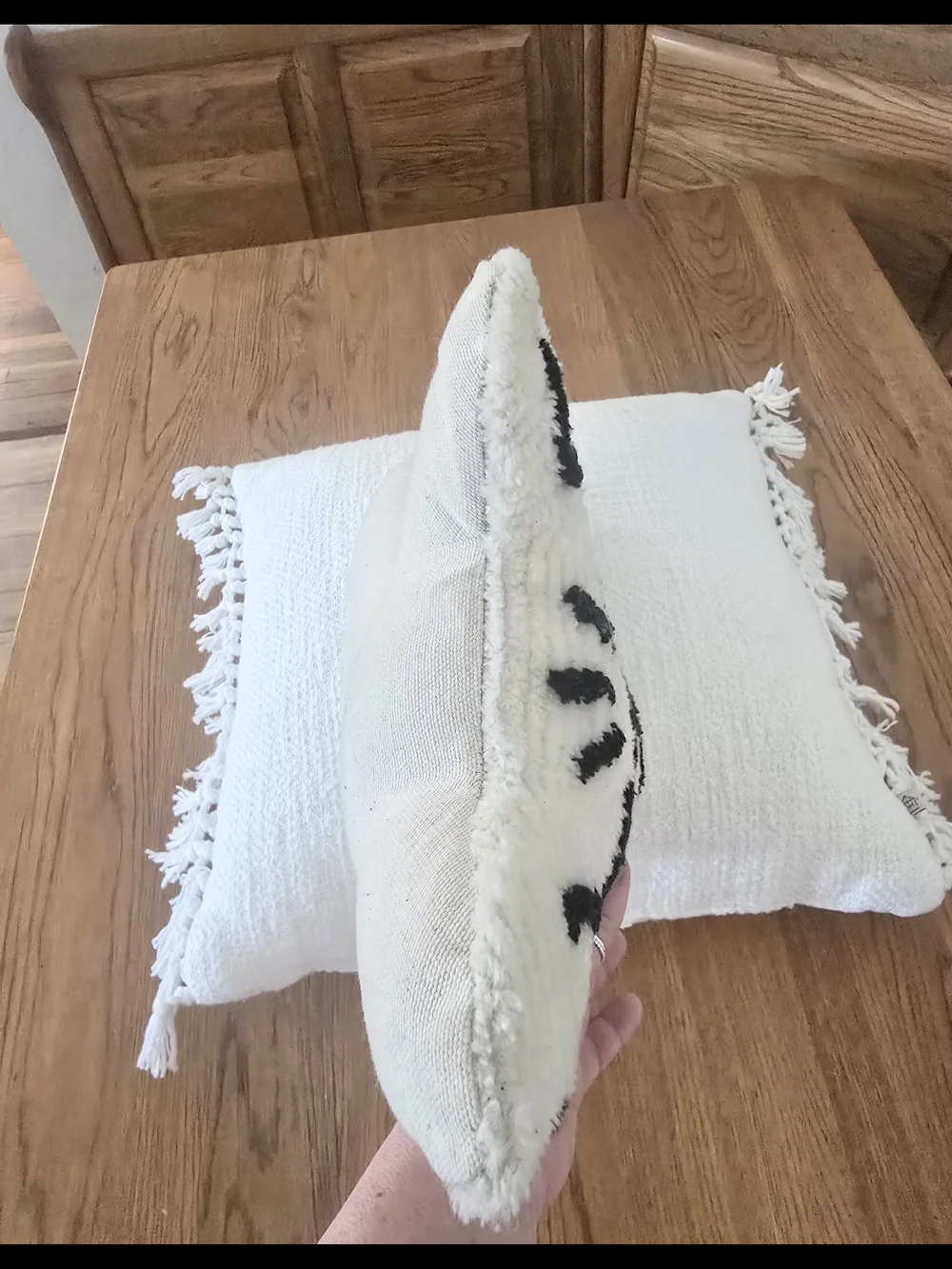 Black & White Decorative Dog Pillow